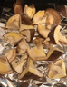 菌菇瘋長(cháng)素強力催菇王木耳香菇類(lèi)膨大增產(chǎn)營(yíng)養液專(zhuān)用生長(cháng)素催菇用 菌菇瘋長(cháng)素【5瓶】增產(chǎn)增收 曬單實(shí)拍圖