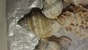 天然精品海螺荔枝螺魚(yú)缸造景diy材料漂流瓶材料家居裝飾擺件禮物 荔枝螺2-4cm【3個(gè)裝】 實(shí)際發(fā)貨數量以規格為準 曬單實(shí)拍圖