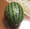【產(chǎn)地直采】正宗北京龐各莊頭茬吊秧小西瓜1粒2kg 曬單實(shí)拍圖