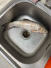 simago喜曼多拐杖釣魚(yú)傘12棱防轉手杖雙層釣傘防暴雨紫外線(xiàn)遮陽(yáng)傘2.0米 曬單實(shí)拍圖