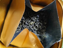張一元茶葉2025雨前綠茶一級高山綠茶罐裝300g  曬單實(shí)拍圖