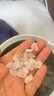 山迪水晶消磁碗天然白水晶消磁石手鏈凈化盒子真水晶大顆粒消磁碗器皿 白水晶450G 曬單實(shí)拍圖