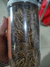 比克熊面包蟲干倉鼠零食黃粉蟲蘆丁雞鸚鵡金絲熊龜糧食820ml 曬單實拍圖