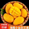 海南小臺(tái)農(nóng)芒果 時(shí)令新鮮水果當(dāng)季整箱應(yīng)季熱帶特產(chǎn) 小臺(tái)農(nóng)芒果凈重3斤單果70g+ 曬單實(shí)拍圖