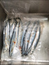 賣(mài)魚(yú)七郎大號秋刀魚(yú)2斤 新鮮海捕鮮活冷凍日料生鮮燒烤食材海鮮魚(yú)類(lèi) 曬單實(shí)拍圖