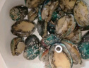 江船長(cháng) 冷凍鮑魚(yú) 凈重160g(18-22粒)袋裝 火鍋燒烤食材 海鮮生鮮 曬單實(shí)拍圖