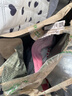 皇家幼貓貓糧 幼貓奶糕 K36 通用糧 4-12月 4.5KG 曬單實(shí)拍圖