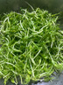 北蔬 水培蔬菜豌豆種子芽苗菜育苗盤(pán)種植盒套裝 加深盤(pán)水培豌豆苗套餐 曬單實(shí)拍圖