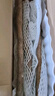 京鮮生 河南焦作溫縣壚土鐵棍山藥凈重5斤 單根40cm+ 蔬菜 源頭直發(fā) 曬單實(shí)拍圖