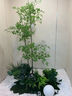 故森仿真植物綠植景觀(guān)造景陽(yáng)臺組合裝飾植物樓梯玻璃櫥窗仿生室內布置 景觀(guān)001-天堂鳥(niǎo)+加州蒲葵【主圖同款】 曬單實(shí)拍圖