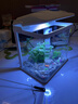 森森（SUNSUN）超白魚(yú)缸一體缸自循環(huán)客廳水族箱桌面家用懶人免換水小型金魚(yú)缸 超白HEJ380標配 帶濾材+棉 曬單實(shí)拍圖