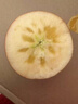 現(xiàn)摘當季云南昭通野生丑蘋果冰糖心蘋果水果新鮮脆甜大果5/10斤 中果70mm-75mm脆甜 10斤 曬單實拍圖