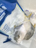 翔泰 海南金鯧魚(yú)凈重900g 2條裝  魚(yú)類(lèi)生鮮 火鍋食材 海鮮水產(chǎn) 中秋 曬單實(shí)拍圖