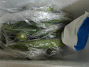 新鮮水果秋葵蔬菜新鮮現(xiàn)摘現(xiàn)發(fā)當季蔬菜生鮮涼拌好物減肥瘦身 現(xiàn)摘水果秋葵 500g 曬單實拍圖