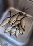 魚(yú)漂高靈敏鯽魚(yú)浮漂魚(yú)標加粗醒目鰱鳙大物漂淺水綜合套裝全套 醒目三角尾 HN-01 一支裝 曬單實(shí)拍圖