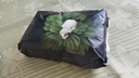 巴布豆（BOBDOG）奇跡奢寵紙尿褲試用裝L碼6片（9-14kg）【品牌直供 安心品質】 曬單實拍圖