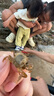 邦帛世洞洞鞋男夏季EVA增高厚底開車釣魚溯溪鞋防滑透氣包頭包跟涼拖 包跟溯溪洞洞鞋【卡其】 42 適合42-43 曬單實拍圖