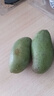 甜萌果蔬金煌芒 送人 水仙芒果青皮大芒果甜心芒海南新鮮水果孕婦盒子送禮 超精選裝（單果約260g+） 凈重4.5斤【超劃算】 曬單實(shí)拍圖