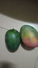 【新鮮上市】正宗攀枝花凱特芒果新鮮水果 帶箱2斤200g+ 曬單實(shí)拍圖