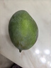 京覓四川凱特芒果新鮮水果凈重8斤單果410g+源頭直發(fā)包郵 曬單實(shí)拍圖