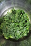 【農(nóng)村最鮮】春天里薺菜農(nóng)家野菜薺菜速凍薺菜水餃餛飩餡新 整顆【當季新菜4斤】精選商用裝 曬單實拍圖