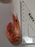 海仙津九節蝦干即食大蝦干烤蝦干對蝦干特大斑節蝦干大烤蝦福建干貨蝦 【特大款】九節蝦干500g 50-60只 曬單實(shí)拍圖