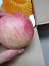京鮮生山東煙臺紅富士 蘋果 凈重5斤單果200g+ 新鮮水果 源頭直發(fā) 曬單實(shí)拍圖
