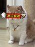 周生生古法黃金項鏈 足金傳承葫蘆吊墜繩鏈款生日禮物91199Z計價(jià)14.7克 曬單實(shí)拍圖