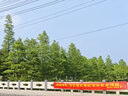 小米15 國家補(bǔ)貼 徠卡光學(xué)Summilux高速鏡頭 驍龍8至尊版移動(dòng)平臺(tái) 16+512 白色 5g手機(jī)國補(bǔ) 曬單實(shí)拍圖