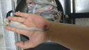 森農樂(lè )豆腐魚(yú)舟山特產(chǎn)龍頭魚(yú)鮮活冷凍海鮮水產(chǎn)九肚魚(yú)生鮮海魚(yú)水潺3斤裝 凈重1500g【鮮肥嫩滑】 曬單實(shí)拍圖
