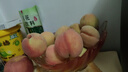 正宗春雪水蜜桃桃子新鮮水果當季現(xiàn)摘脆甜多汁桃子生鮮整箱 精選4.5斤實惠嘗鮮 凈重約為4斤 曬單實拍圖