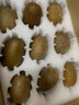 蒲江黃心獼猴桃 彌猴桃 金果奇異果獼猴桃 新鮮水果 生鮮 水果 精選裝24粒 單果90-110G 曬單實(shí)拍圖