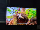 索尼（SONY）K-65XR90 65英寸電視9系Mini LED 4K超高清智能網絡電視機影院級穹頂聲場廣視角二級能效以舊換新 65英寸 K-65XR90（政府以舊換新補貼） 曬單實拍圖