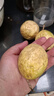 京鮮生 海南欽蜜9號黃金百香果3斤凈重70-90g/15-21個(gè) 生鮮水果源頭直發(fā) 曬單實(shí)拍圖