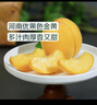 枝頭熟蜜汁金桃5-8粒950g 曬單實(shí)拍圖