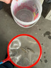 森悠（SARYOR）孔雀魚(yú)純種觀(guān)賞魚(yú)小型淡水好養熱帶魚(yú)活體斑馬金魚(yú)鳳尾魚(yú)繁殖 雜袍孔雀魚(yú)20條+5條備損 曬單實(shí)拍圖