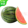京鮮生 龐各莊手剝小西瓜 2粒裝 凈重4-5斤  源頭直發(fā) 曬單實拍圖