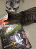 INSTINCT進口貓糧百利無谷雞全貓幼貓干糧11磅/5kg 曬單實拍圖