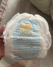 泰迪熊（Teddy Bear）臻薄透氣拉拉褲XXL60片(15公斤以上)夏季超薄嬰兒尿不濕成長褲 曬單實拍圖