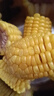 【云南高原太陽花】現(xiàn)摘黃金水果玉米新鮮甜玉米棒生鮮蔬菜可生吃 新鮮水果玉米 4斤 帶箱 300g起 曬單實拍圖
