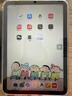 Apple/蘋果 iPad mini (A17 Pro) 8.3英寸 平板電腦(256G WLAN版/mini7/MXNA3CH/A)深空灰色 曬單實(shí)拍圖