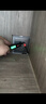 德力西電氣測電筆H1300感應(yīng)式電工多功能數(shù)顯電筆帶照明 12-300V 曬單實(shí)拍圖
