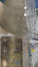貝初眾魚(yú)缸小型魚(yú)缸圓形塑料缸仿玻璃一體生態(tài)桌面缸家用客廳金魚(yú)斗魚(yú)缸 輕巧高透魚(yú)缸21*16*17cm【中號】 高透pet仿玻璃材質(zhì) 裸缸 打不破 摔不碎 久用不糊 曬單實(shí)拍圖
