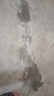 混凝土裂縫修補劑防開(kāi)裂防水速干高粘接力高強度水泥裂縫修補料 灰色 5斤 曬單實(shí)拍圖
