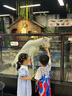 ASK JUNIOR女童裙子2025夏薄款小童愛(ài)心娃娃領(lǐng)學(xué)院風(fēng)格子公主裙 藍(lán)色 120 曬單實(shí)拍圖