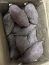 京覓湖北沙地紫薯 凈重3斤(贈(zèng)送1.5斤實(shí)得4.5斤) 單果100g+ 源頭直發(fā) 曬單實(shí)拍圖