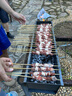 鮮京采內蒙古孜然羊肉串凈重2斤 （50串）露營(yíng)戶(hù)外燒烤 京東自有品牌 曬單實(shí)拍圖