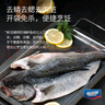 海名威 冷凍三去海鱸魚450g/條 (配料包)深海魚 生鮮魚類 海鮮水產(chǎn) 曬單實(shí)拍圖