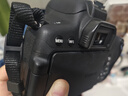 佳能（Canon）EOS 750D 760D 800D 850D 77D 二手單反相機高清數碼照相機 99新 750D EF 18-135mm STM 套餐二【下單套餐二，免費升級套餐三】 99新 曬單實拍圖
