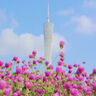 適馬（SIGMA） 適馬18-50mm F2.8 DC DN 半畫(huà)幅微單恒定大光圈變焦鏡頭 索尼E口【百億補貼】 活動(dòng)促銷(xiāo)款（只送UV 清潔套裝，不含其他配件） 曬單實(shí)拍圖